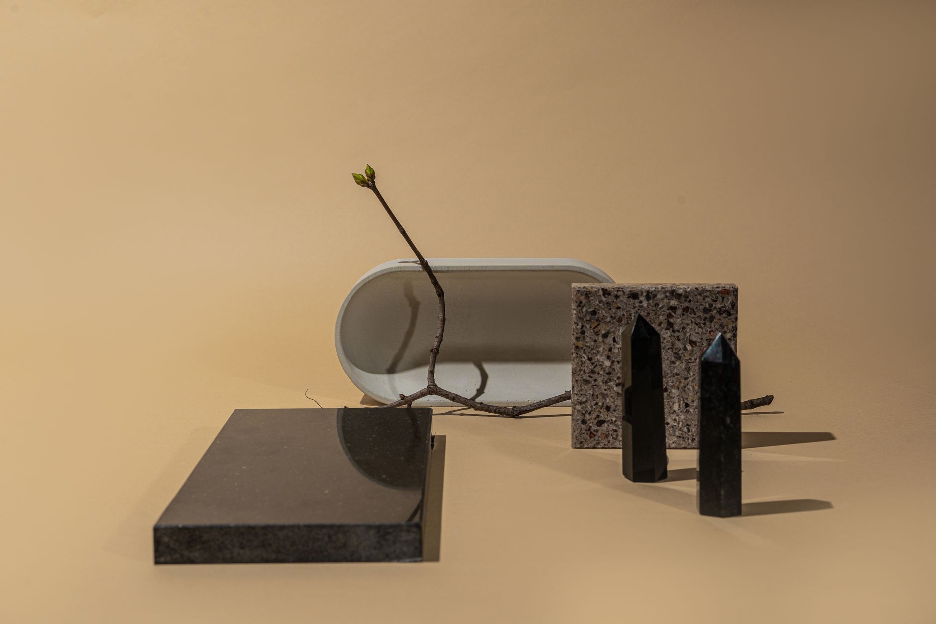 Minimalist composition featuring geometric objects and a twig on a neutral background.