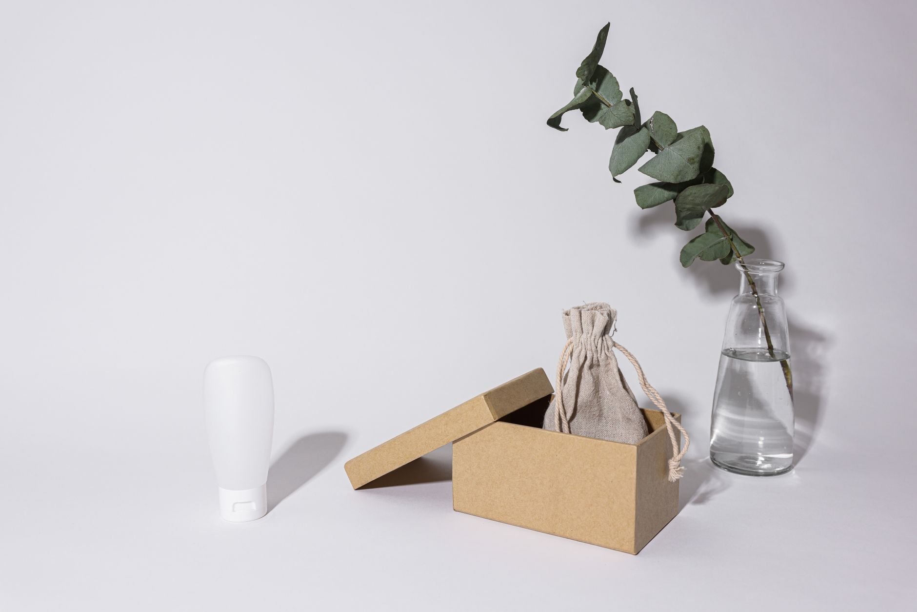 A minimalist composition featuring a glass vase with eucalyptus, a cardboard box, and a pouch.